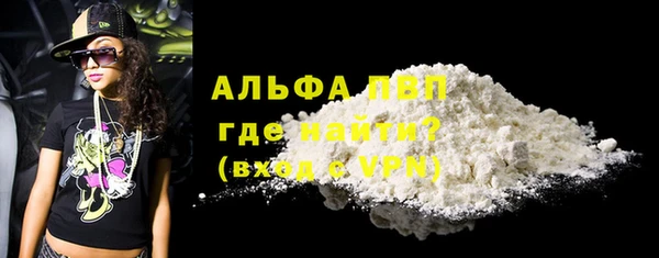 стаф Баксан