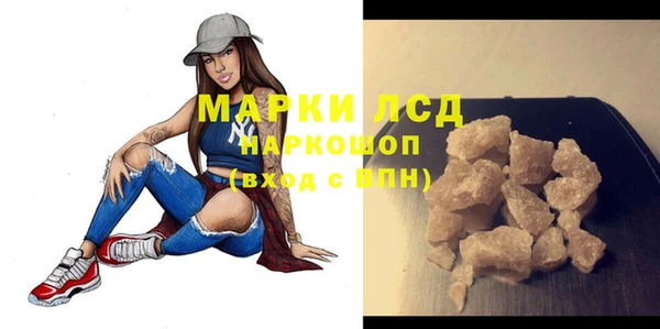 стаф Баксан