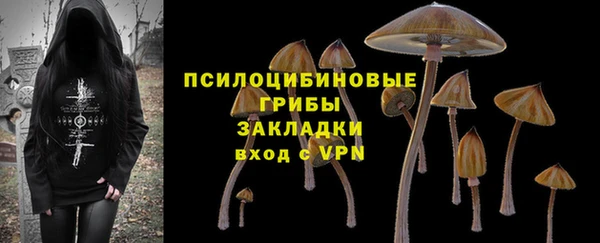 стаф Баксан